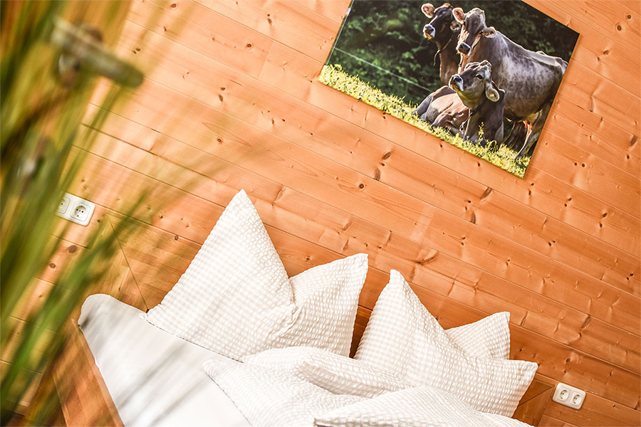 Haus_Franzi_Am_Lech_11